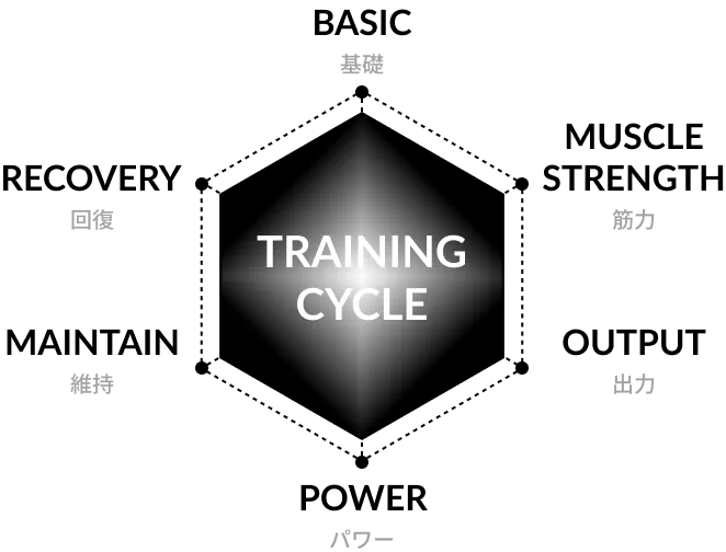 トレーニングサイクル図